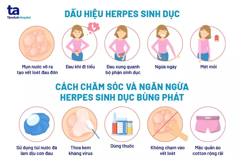 Hình ảnh minh họa mụn rộp sinh dục