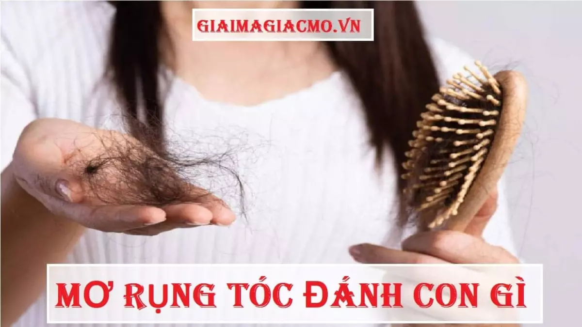 Hình ảnh minh họa về rụng tóc