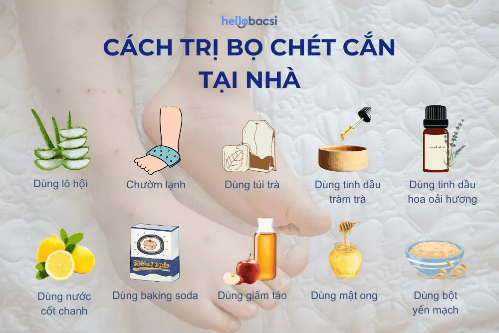 Túi trà giúp giảm sưng ngứa do bọ chét cắn